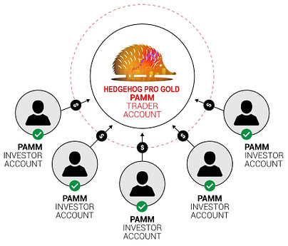 pamm-account-graphic